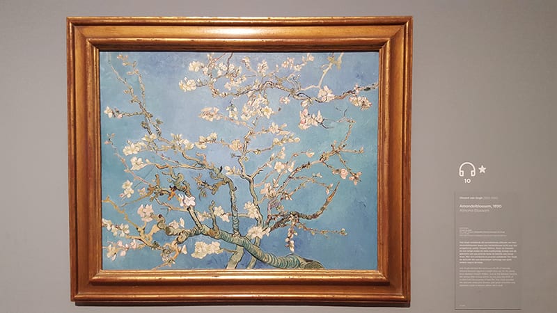 Van Gogh Amandelbloesem